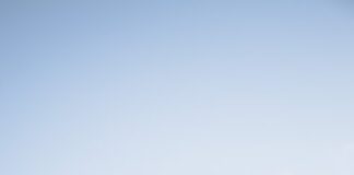 Holly Halliwell signs with Integrated Music Rights