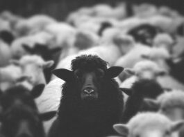 NEW MUSIC: “PROOF” by Pastor Mike Jr.